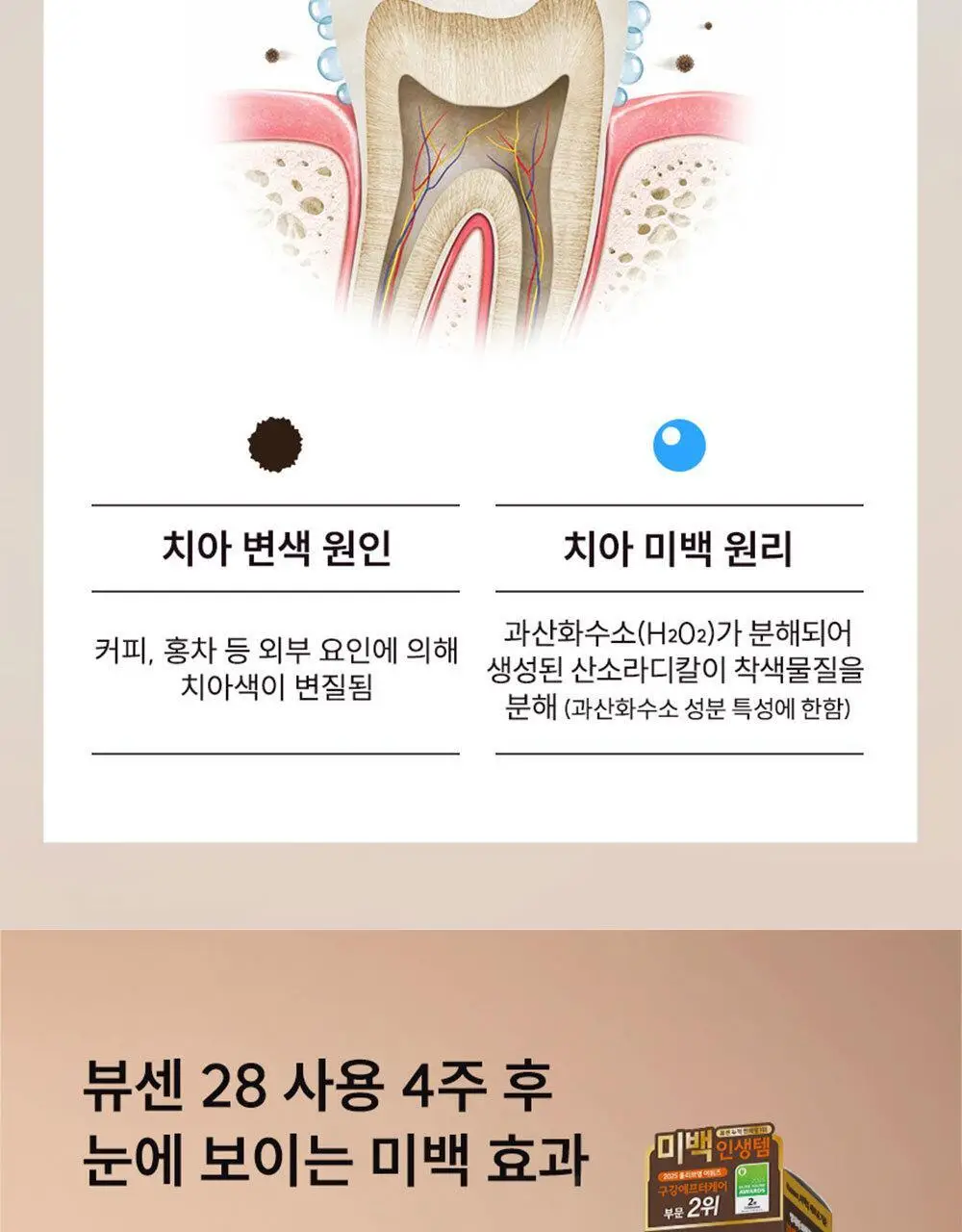 [집중 미백케어] 뷰센28 치아미백제 기획팩 시리즈 2종 상세페이지 12